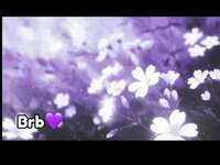 violeta-milleer