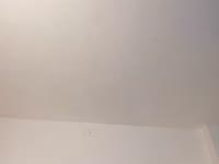 Welcome to my room. I consider myself a cheerful, charismatic, and spontaneous girl. I
